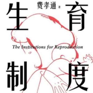 新春特辑《生育制度》：社会如何通过生育制度把一个生物个体培养成社会成员？40