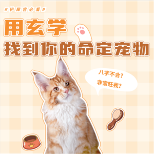 Vol.5 用玄学找到你的「命定宠物」