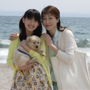 031. 冬日温暖影片《我和狗狗的10个约定》：狗狗“代替”了妈妈，妈妈化成了无处不在的风