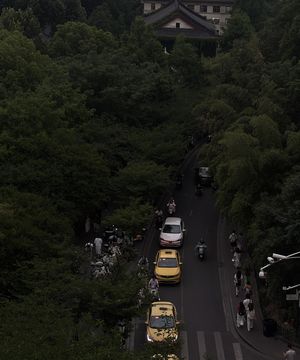69 - 两分钟决定，两个小时手术——一场瞒住妈妈的癌前病变