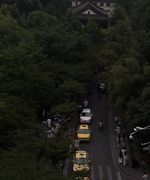 69 - 两分钟决定，两个小时手术——一场瞒住妈妈的癌前病变
