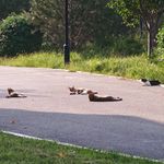 昵称存存存在在在