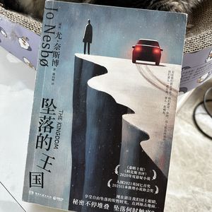 41. 以爱为名实施暴力，善该如何定义？|《坠落的王国》（二）