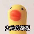 大元_ENxp