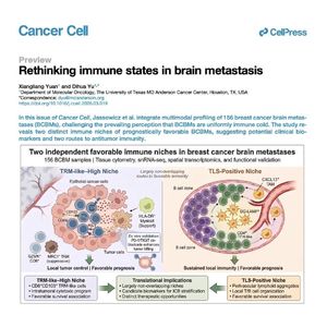 996-Rethinking Immune States in Brain Metastasis