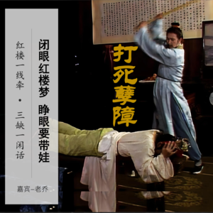 030」闭眼红楼梦，睁眼要带娃｜三缺一闲话