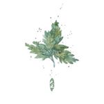 古都咲花