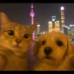 我想去放牛
