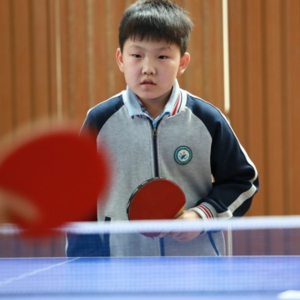 张继科的乒乓球课火了，但体育培训市场还面临这些挑战