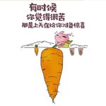 大盗崔人佬