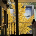 地球人没一个好东西