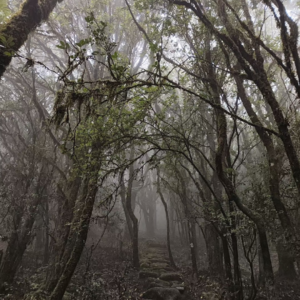 2. 豆瓣网友灵异经历：她的故事与他们的故事