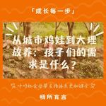 111 专访大理溪谷小人国园长：在大理，我们不说幼儿园，我们聊儿童成长社区