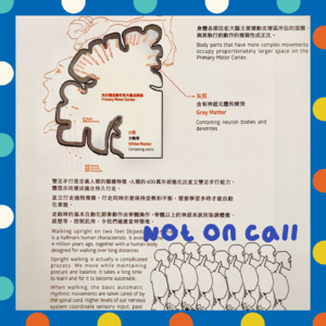 017|赞美肉身!祝你我都身强体壮有力量💪