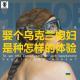 三好人生 – 娶个乌克兰媳妇是种怎样的体验 (Dino)