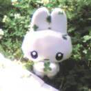 恋痛_ikAw