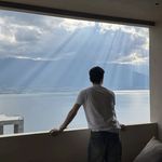 忧郁的蛋挞王子