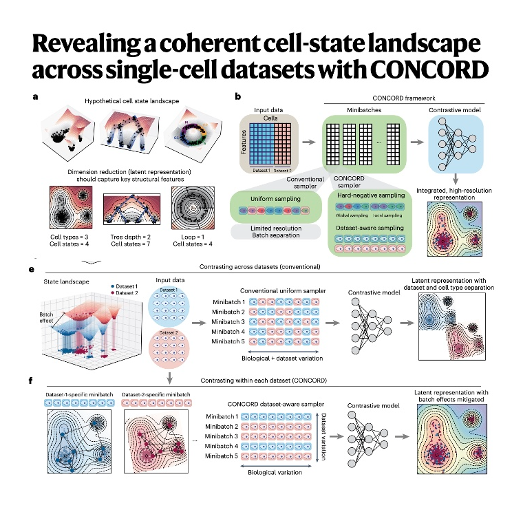 750-CONCORD for Single-Cell Representation Learning episode artwork