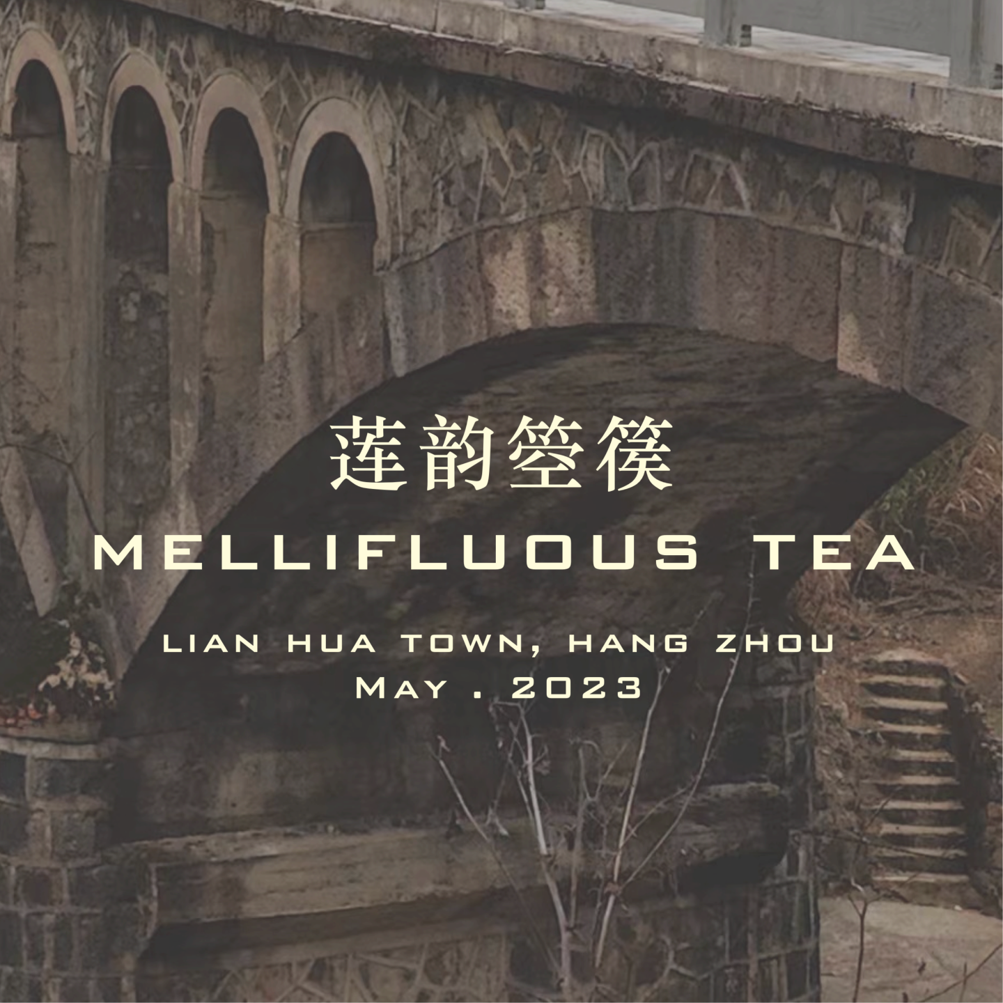CHIVEL | Mellifluous Tea 莲韵箜篌 杭州建德水库现场 episode artwork