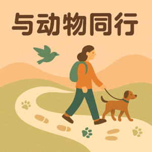 8. 采访宠物医生——走进宠物医疗行业