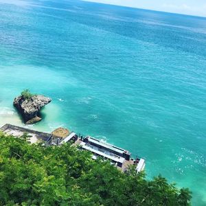 No.109 - 你无知又任性，我疯长又轻盈