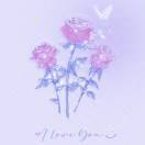 显化的LOVE