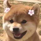 大妹妹渣渣