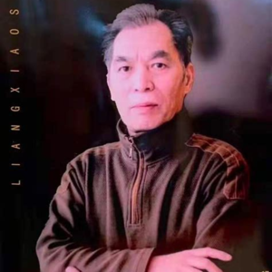 【拓展】五上-03:梁晓声生平与作品