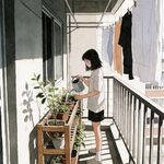 momo小号