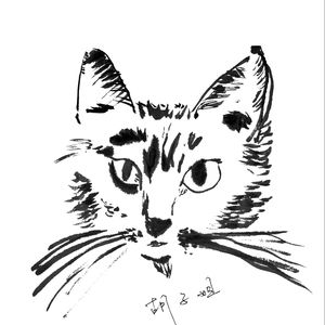 视译 疫情对青年群体的影响