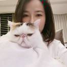 菁鱼