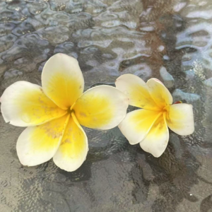 82.其实我都可以把控