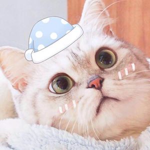 Ian的播客