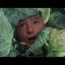 挑战每天2230睡觉