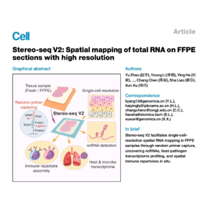 132-Stereo-seq V2:FFPE样本全转录组空间分析