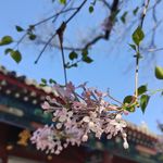 小万的磁铁