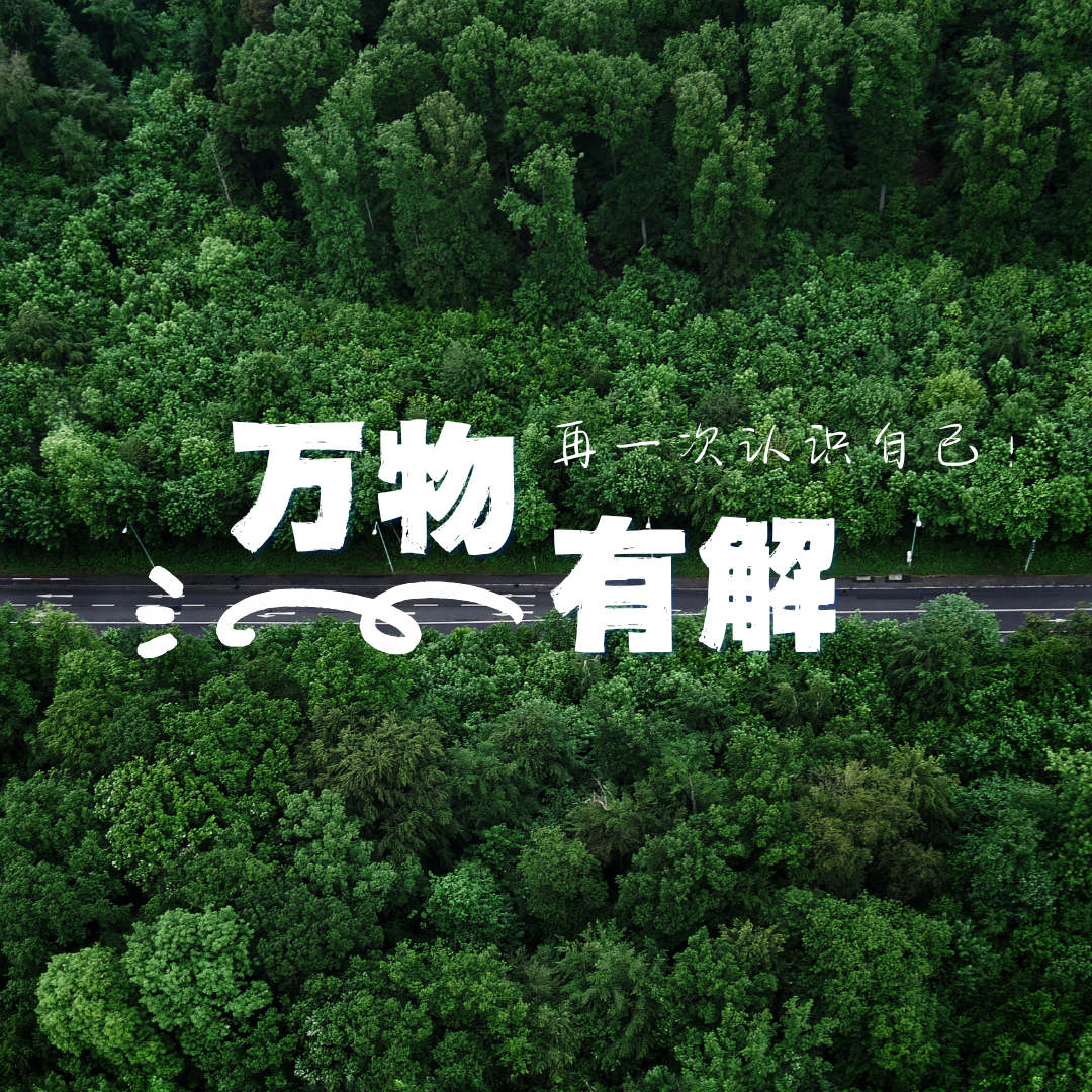 你讨厌的是“加班”还是“加班文化”？ episode artwork