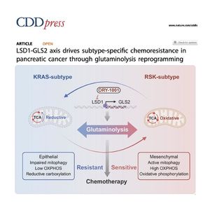 1413-LSD1-GLS2 Drives Subtype-Specific Chemoresistance