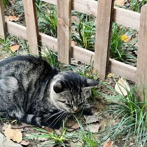 podcaster-avatar