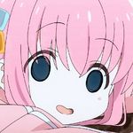 小郑其实是蚊子