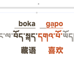 原来古藏语和古汉语遇到过类似的困境：（双音节）词汇上来说