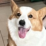 嘟嘟泡泡