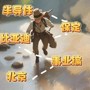 Vol:007 “反复横跳”的职业冒险家，保定人的职场奇幻漂流