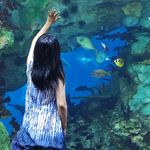 蓝妹妹lifecoach