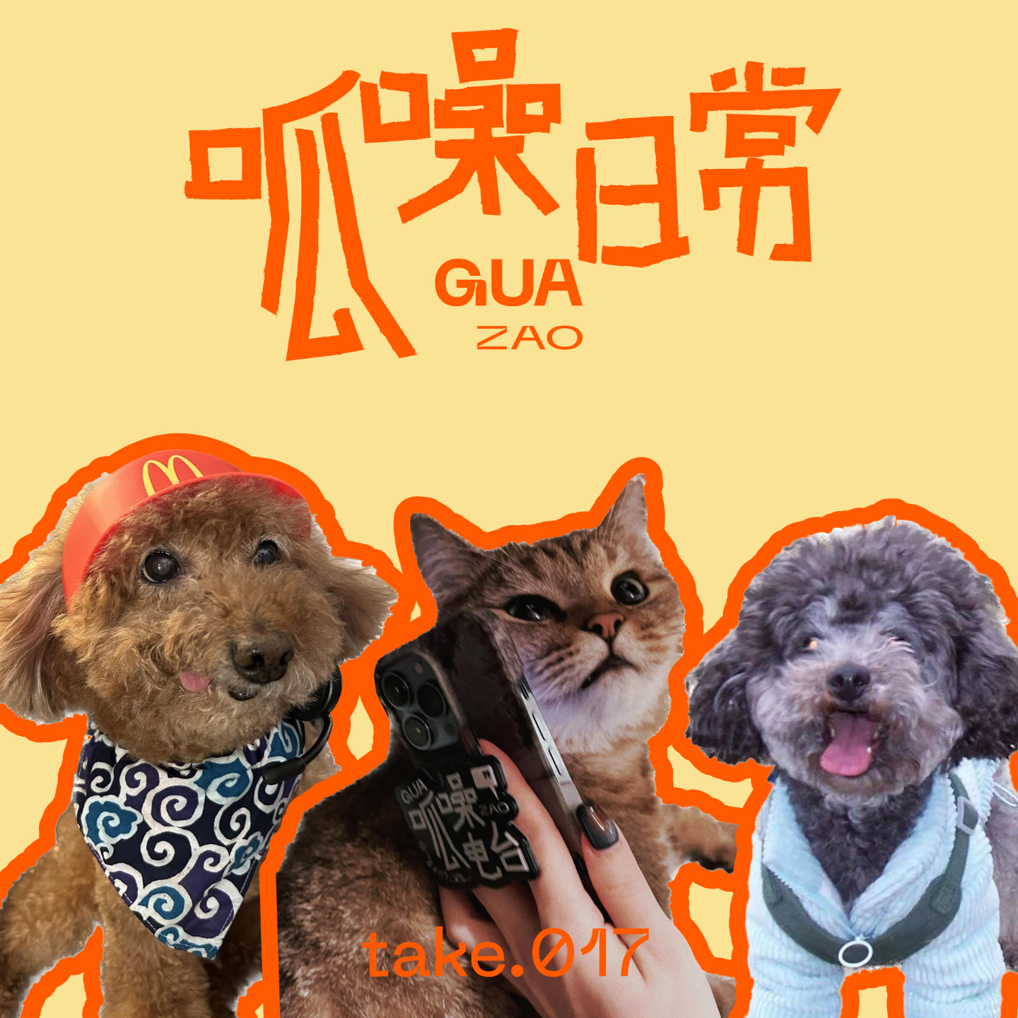 take.017 我们爱宠物,比爱人更深情