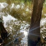 北京快乐萨摩耶