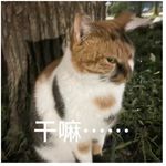 屇歌
