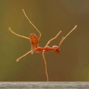 陈瑞祥：数学几何如何让中医阴阳不再玄奥