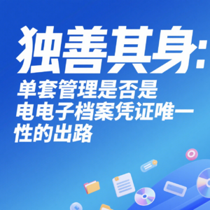 独善其身：单套管理是否是电子档案凭证唯一性的出路