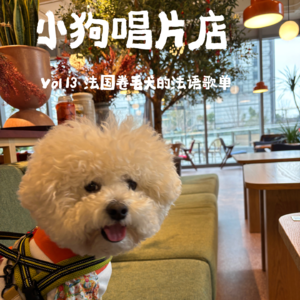 vol.13 法国卷毛犬的法语歌单 I